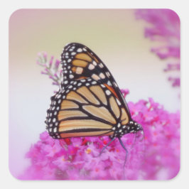 Monarch op Roze - Vlinder Vierkante Sticker