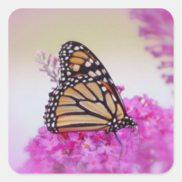Monarch op Roze - Vlinder Vierkante Sticker