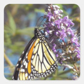 Monarch op Vitex Vierkante Sticker (Voorkant)