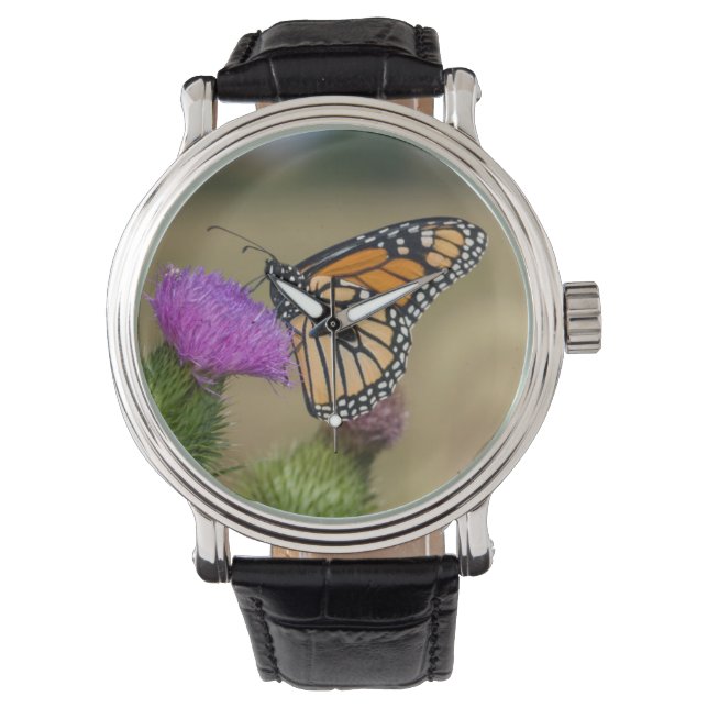 Monarch op weide Distel Prairie Ridge Horloge (Voorkant)