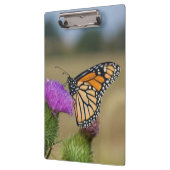 Monarch op weide Distel Prairie Ridge Klembord (Links)