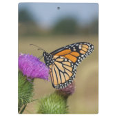 Monarch op weide Distel Prairie Ridge Klembord (Achterkant)