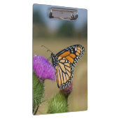 Monarch op weide Distel Prairie Ridge Klembord (Rechts)