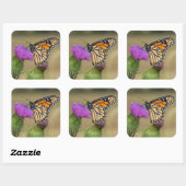 Monarch op weide Distel Prairie Ridge Vierkante Sticker (Vel)