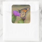 Monarch op weide Distel Prairie Ridge Vierkante Sticker (Tas)