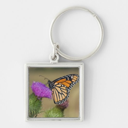 Monarch op weide Vederdistel Prairie Ridge Sleutelhanger (Voorkant)