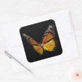 Monarch Oranje Butterfly Flying Insect Vierkante Sticker (Envelop)