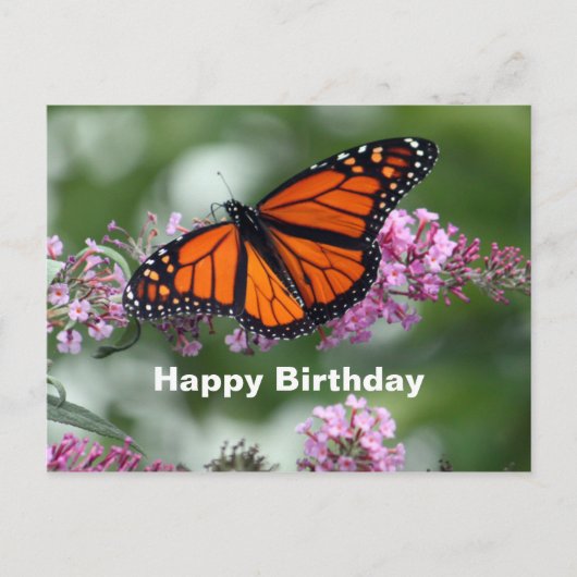 Monarch Oranje Vlinder Bloem Foto Verjaardag Briefkaart (Voorkant)