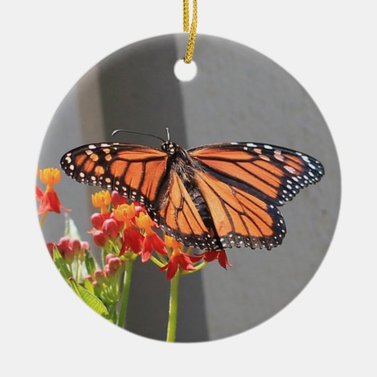 Monarch Ornament (Voorkant)