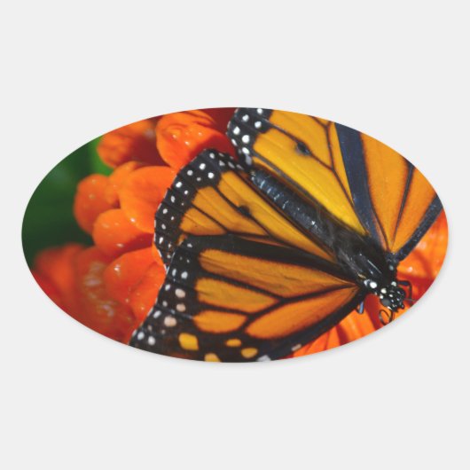 Monarch Ovale Sticker (Voorkant)