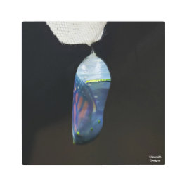 Monarch Pop 2022 - Metaalprint