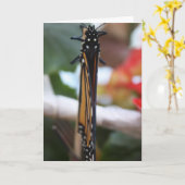 Monarch poseerde kaart (Gele Bloem)