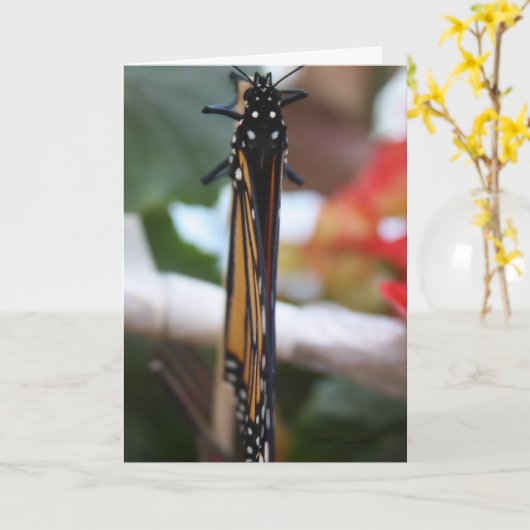 Monarch poseerde kaart (Gele Bloem)