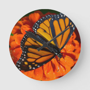 Monarch Ronde Klok