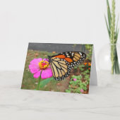 Monarch: roze zink, blanco kaart (Voorkant)