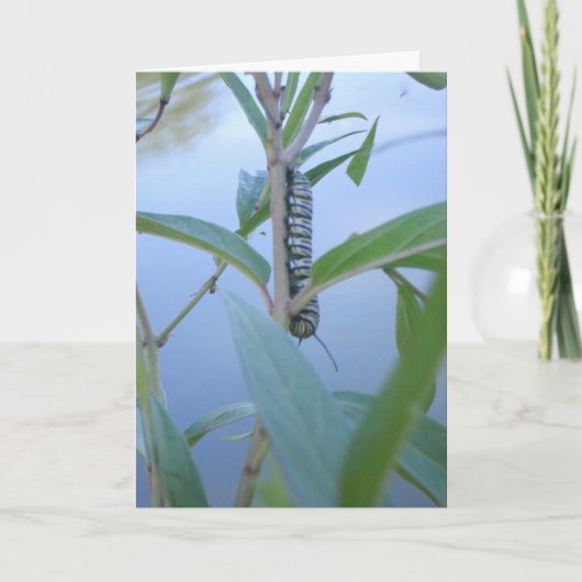 "Monarch Rups #1" Pasen Kaart (Voorkant)