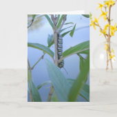 "Monarch Rups #1" Pasen Kaart (Gele Bloem)