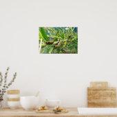 Monarch Rups Poster (Keuken)