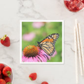 Monarch Servet (Insitu)