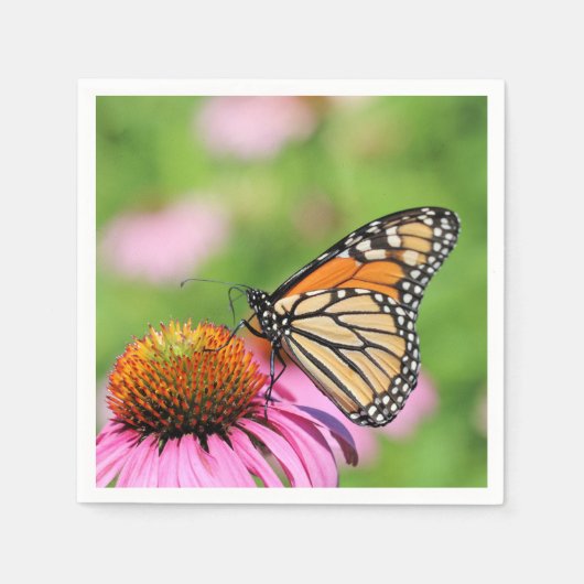 Monarch Servet (Voorkant)
