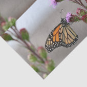 Monarch Tissuepapier (Detail)