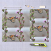 Monarch Tissuepapier (Craft)