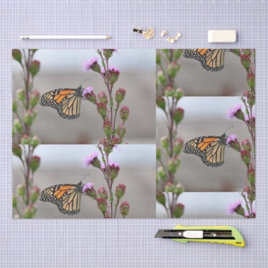 Monarch Tissuepapier (Craft)