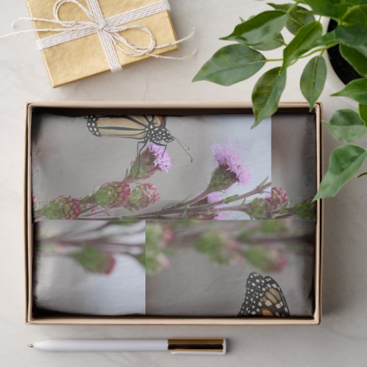 Monarch Tissuepapier (Geschenk)