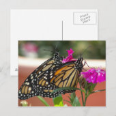 Monarch Twins #1-briefkaarten Briefkaart (Voorkant / Achterkant)
