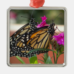 Monarch Twins #1 premium vierkant ornament