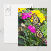 Monarch Twins #2-briefkaart Briefkaart (Voorkant / Achterkant)