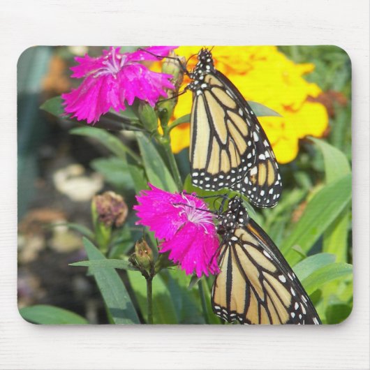 Monarch Twins #2-mousepad Muismat (Voorkant)
