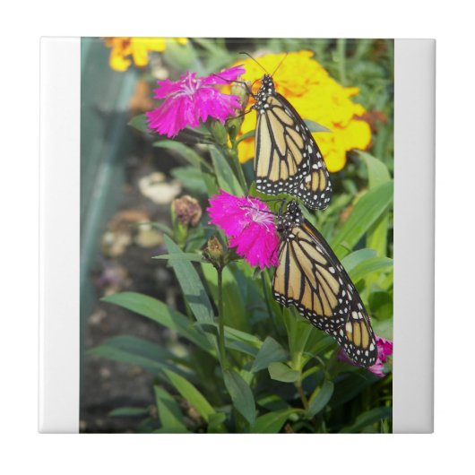 Monarch Twins #2-tegel Tegeltje (Voorkant)