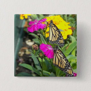 Monarch Twins #2-toets Vierkante Button 5,1 Cm