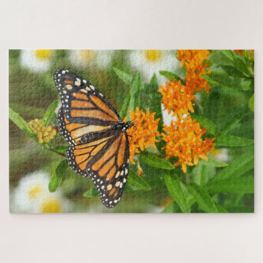 Monarch uit 1000 met vlinderzaag puzzel (Horizontaal)