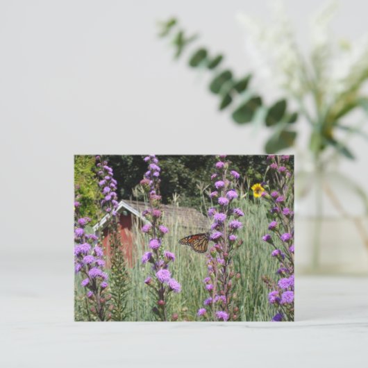 Monarch van de Iowa prairie Briefkaart (Staand voorkant)