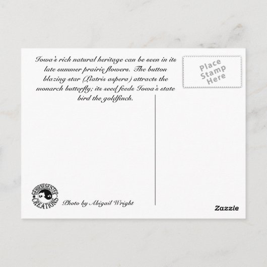 Monarch van de Iowa prairie Briefkaart (Achterkant)