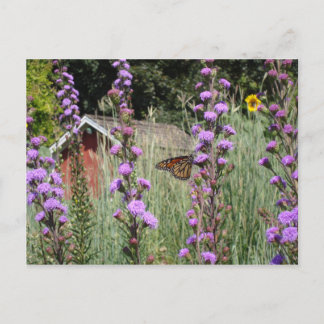 Monarch van de Iowa prairie Briefkaart