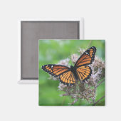 Monarch van de wilde Magnet (Voorkant / Achterkant)