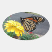 Monarch van Gele Zinnia Ovale Sticker (Voorkant)