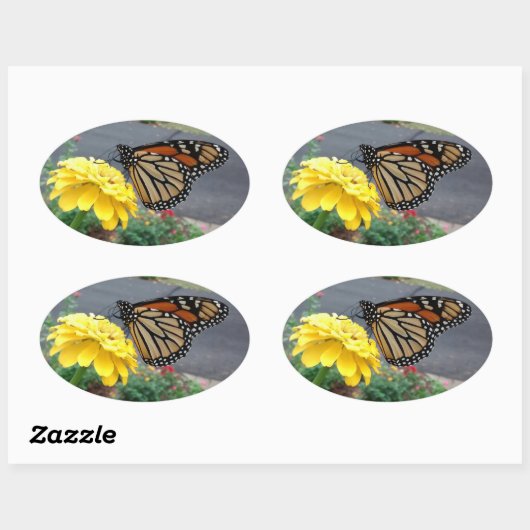 Monarch van Gele Zinnia Ovale Sticker (Vel)