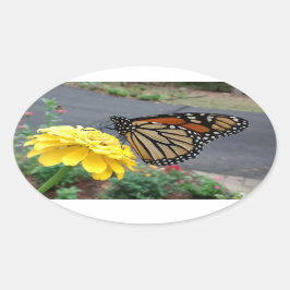 Monarch van Gele Zinnia Ovale Sticker