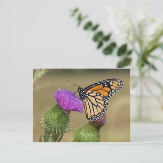 Monarch van grasland Thistle Prairie Ridge Briefkaart (Staand voorkant)