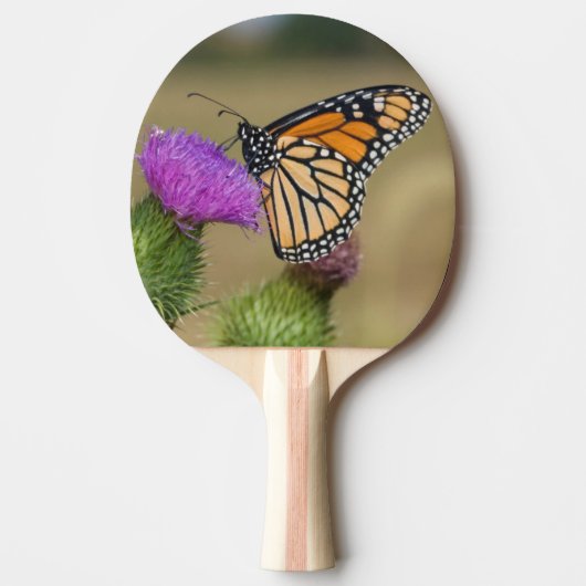 Monarch van grasland Thistle Prairie Ridge Tafeltennisbatje (Voorkant)