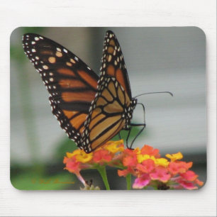 Monarch van Lantana Mousepad Muismat