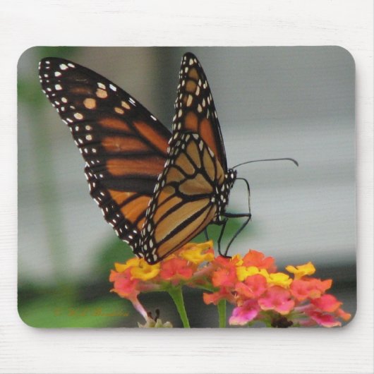 Monarch van Lantana Mousepad Muismat (Voorkant)
