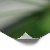 Monarch van Lantana Poster (Hoek)