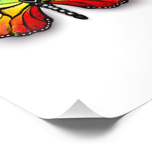 Monarch van regenboogvlinders foto afdruk (Hoek)