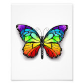 Monarch van regenboogvlinders foto afdruk (Voorkant)