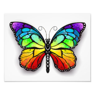Monarch van regenboogvlinders foto afdruk